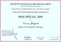 PREMIO ESPECIAL CARROUSEL DU LOUVRE (PARIS-2009)